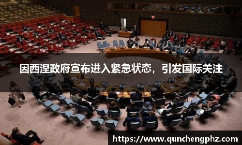 因西涅政府宣布进入紧急状态，引发国际关注